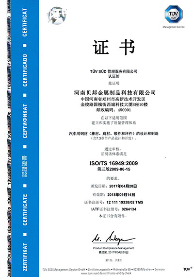 TUV TS16949 Management System Certificate